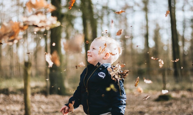 Barn i skoven med blade omkring sig Barn i skoven med blade omkring sig