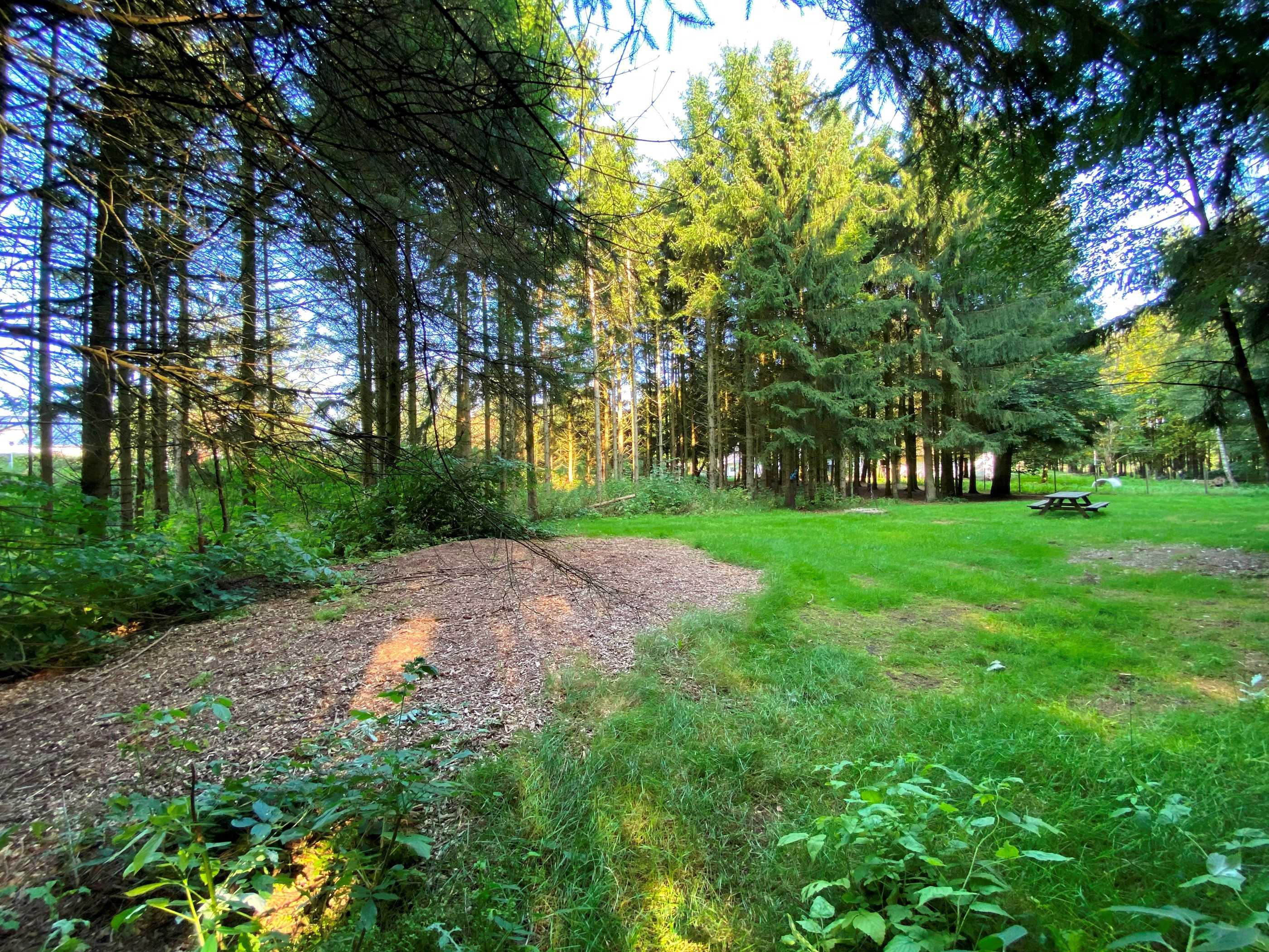 Naturen omkring Vibereden